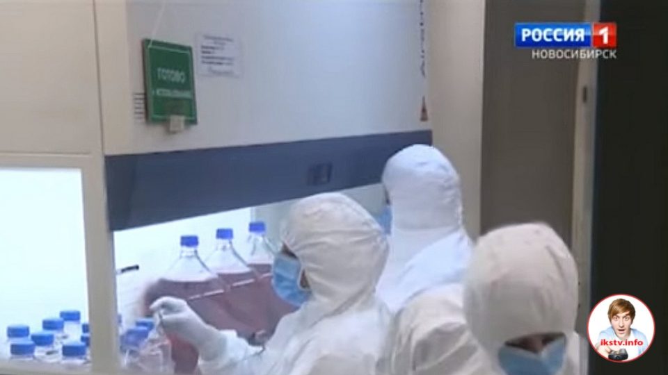 Российские учёные на ТВ рассказали, что тестируют вакцины против коронавируса